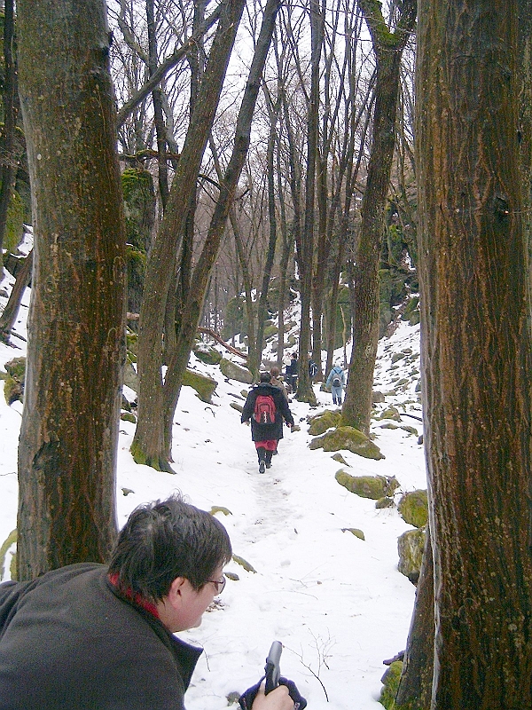 20100220 043.jpg